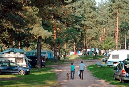 Naturskjønne omgivelser rundt campingplassen