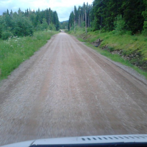 Ikke stol blindt på gps'en.. Det gjorde vi og havnet på fylkesvei 562 i Hedemark....