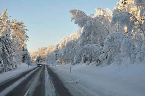 Vinterferietips fra Trygg Trafikk